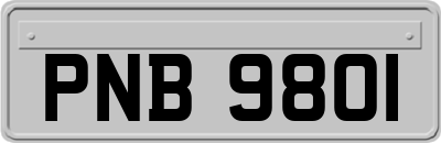 PNB9801