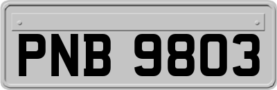 PNB9803