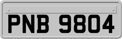 PNB9804