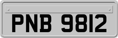 PNB9812
