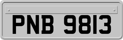PNB9813