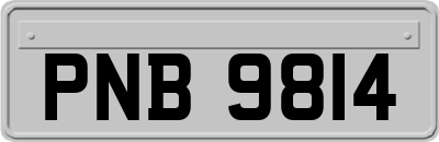 PNB9814
