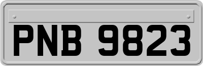 PNB9823
