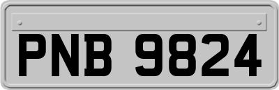 PNB9824