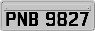 PNB9827