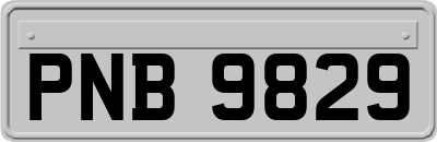 PNB9829