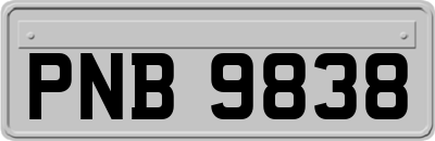 PNB9838