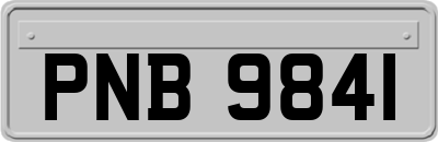 PNB9841