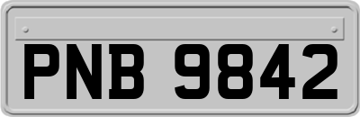PNB9842