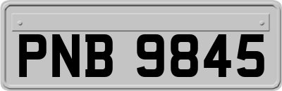 PNB9845