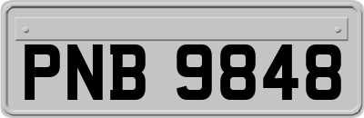 PNB9848