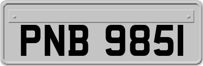 PNB9851