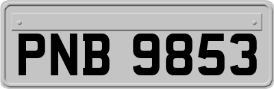 PNB9853