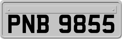 PNB9855