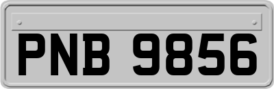PNB9856