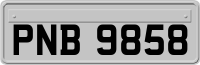 PNB9858