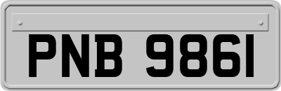 PNB9861