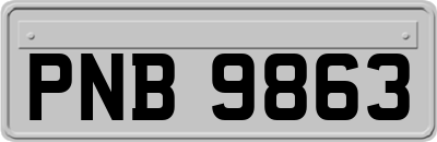 PNB9863