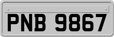 PNB9867