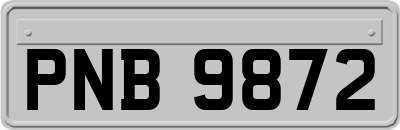 PNB9872