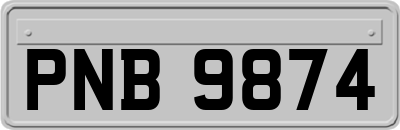 PNB9874