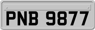 PNB9877