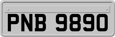 PNB9890