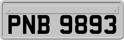 PNB9893