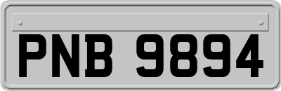 PNB9894