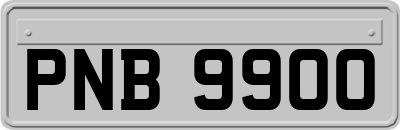 PNB9900