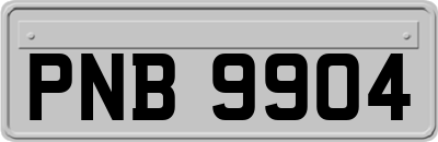 PNB9904