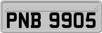 PNB9905