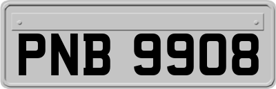 PNB9908