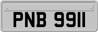 PNB9911