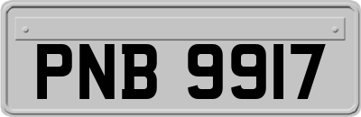 PNB9917