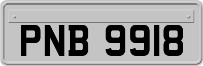 PNB9918