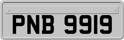 PNB9919