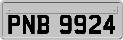 PNB9924