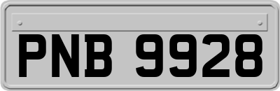 PNB9928