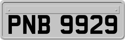 PNB9929