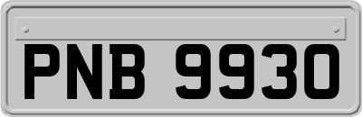 PNB9930