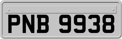 PNB9938