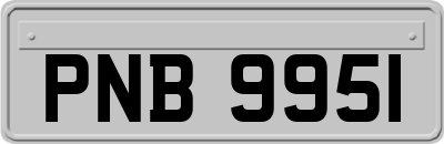 PNB9951