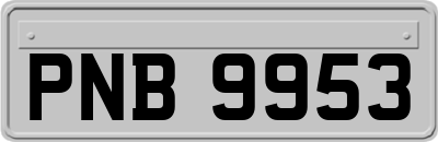 PNB9953