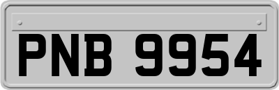 PNB9954