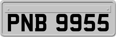 PNB9955
