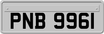 PNB9961