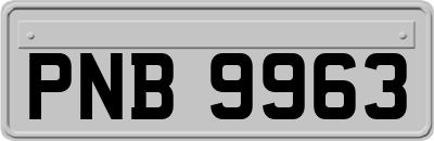 PNB9963