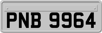 PNB9964