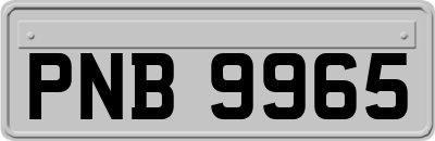 PNB9965